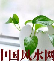 神农架家中摆放六种吉祥物，会打开您的财运大门！