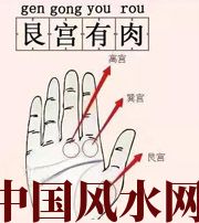 神农架这个地方肉越多，财运就越好