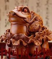 神农架解读金蟾最合适的位置，这样摆放更招财！