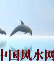 神农架做梦梦到这些，是要富裕的征兆！
